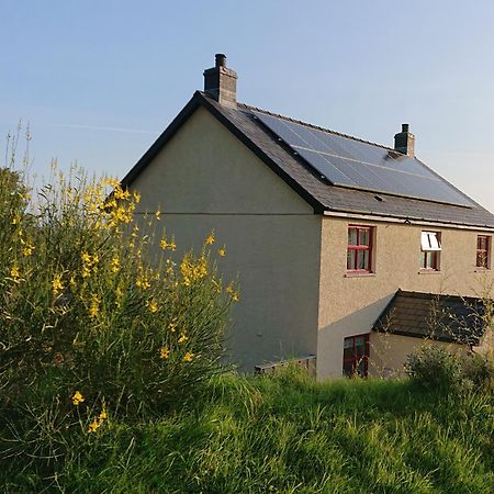 Treberfedd Farm Cottages And Cabins لامبيتر المظهر الخارجي الصورة