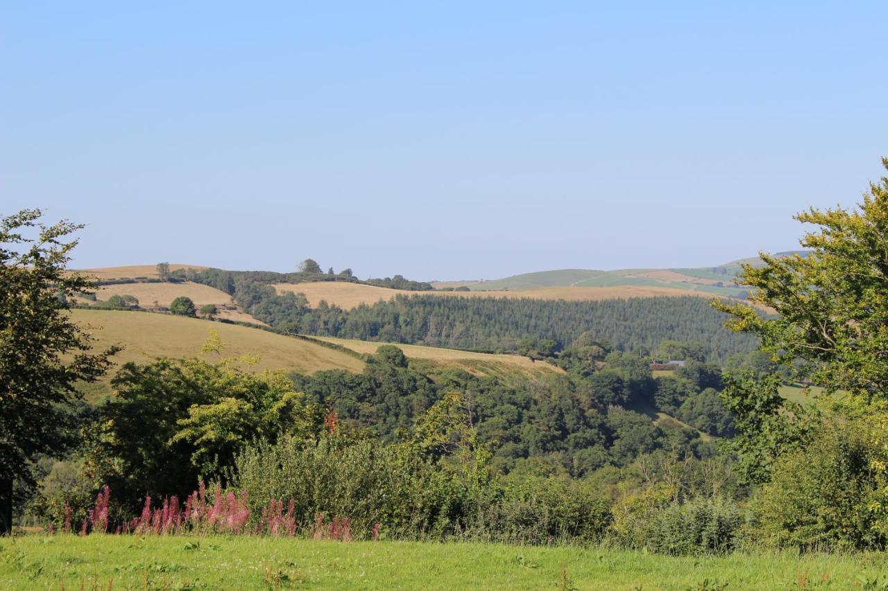 Treberfedd Farm Cottages And Cabins لامبيتر المظهر الخارجي الصورة