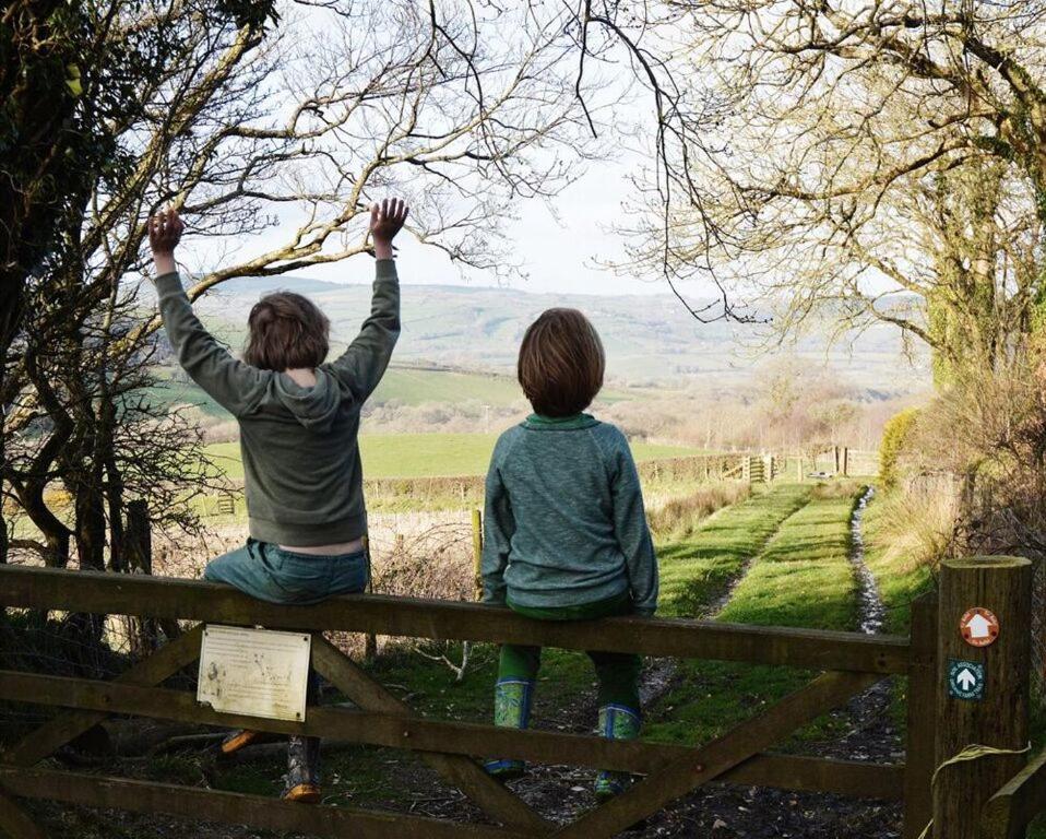 Treberfedd Farm Cottages And Cabins لامبيتر المظهر الخارجي الصورة